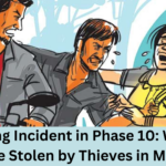 Snatching Incident in Phase 10 Woman's Purse Stolen by Thieves in Mohali